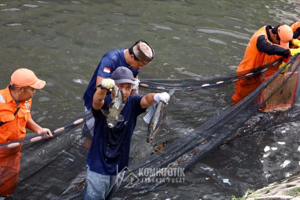 Festival Tangkap Ikan Sapu-Sapu di Banjarbaru Berhasil Angkat 2,4 Ton Spesies Invasif