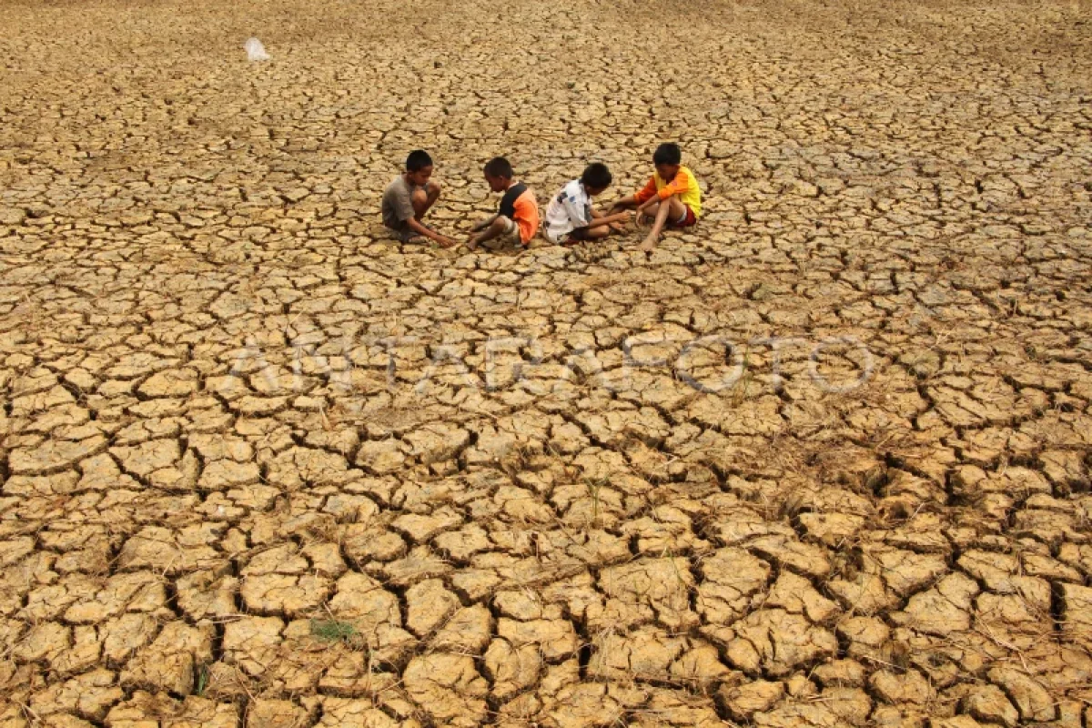 Indonesia Dikepung Kekeringan Ekstrem, Pemerintah Hadapi Ujian Berat El Nino