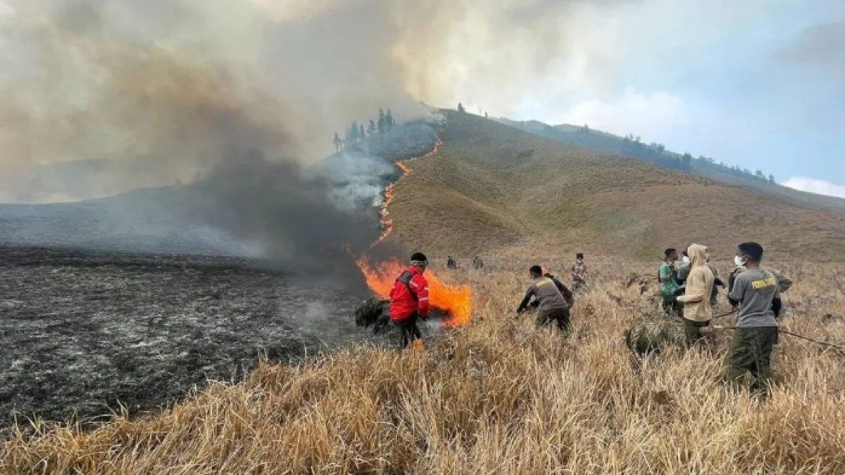 Kebakaran Bromo Kian Mengganas: Luas Lahan Terbakar Tembus 899 Hektare