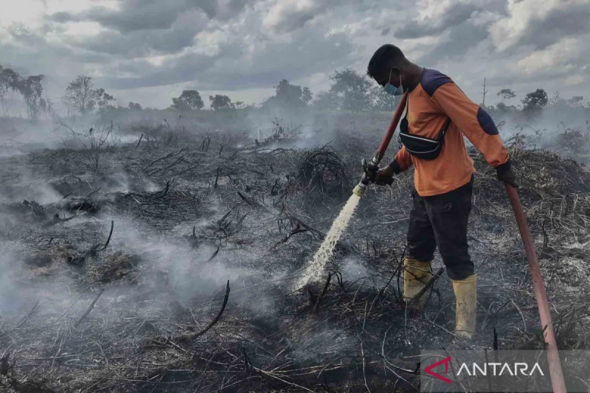 Kebakaran Kejutkan Warga Gang Swarga Gambut di Tengah Ancaman Kabut Asap dan Listrik Bergilir