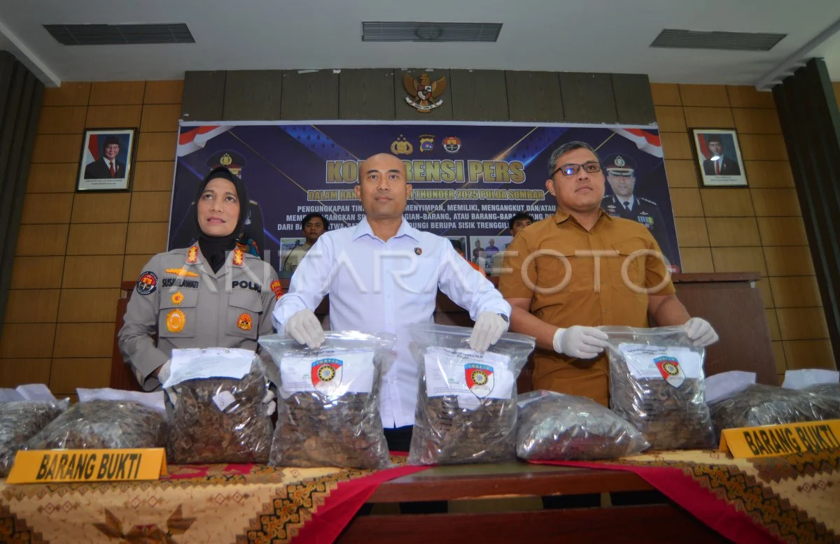Polda Kalsel Gagalkan Perdagangan 64 Kg Sisik Trenggiling