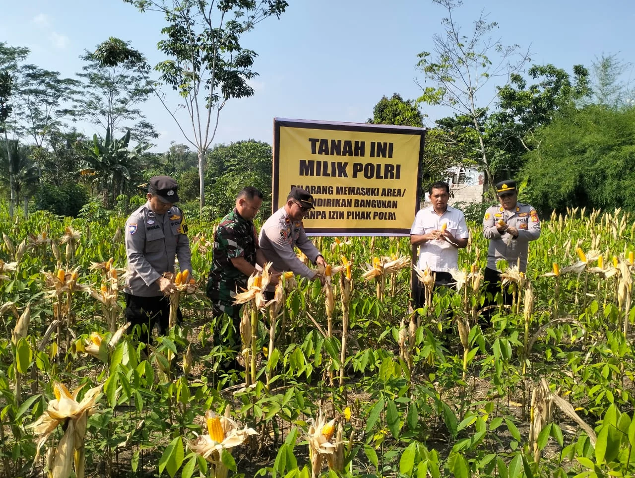 Polsek Muara Harus Pantau Ketahanan Pangan di Tengah Ancaman Kekeringan