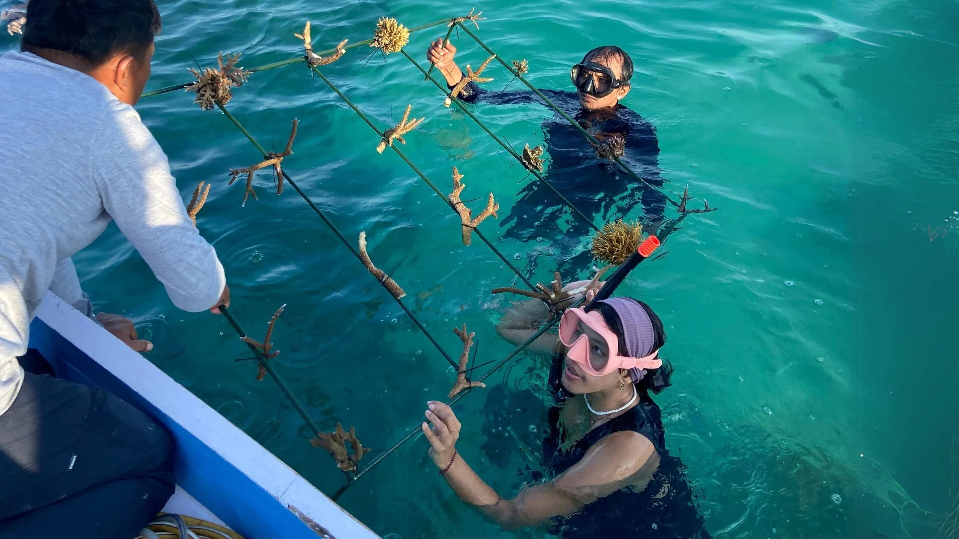 Aksi Aku Cinta Laut Lanal Banjarmasin Perkuat Pelestarian Ekosistem di Pantai Tabanio