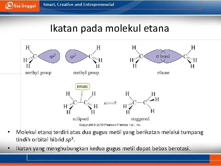 Bantah Isu Kuota Restitusi, Dirjen Pajak Pastikan Pencairan Sesuai Hak Wajib Pajak