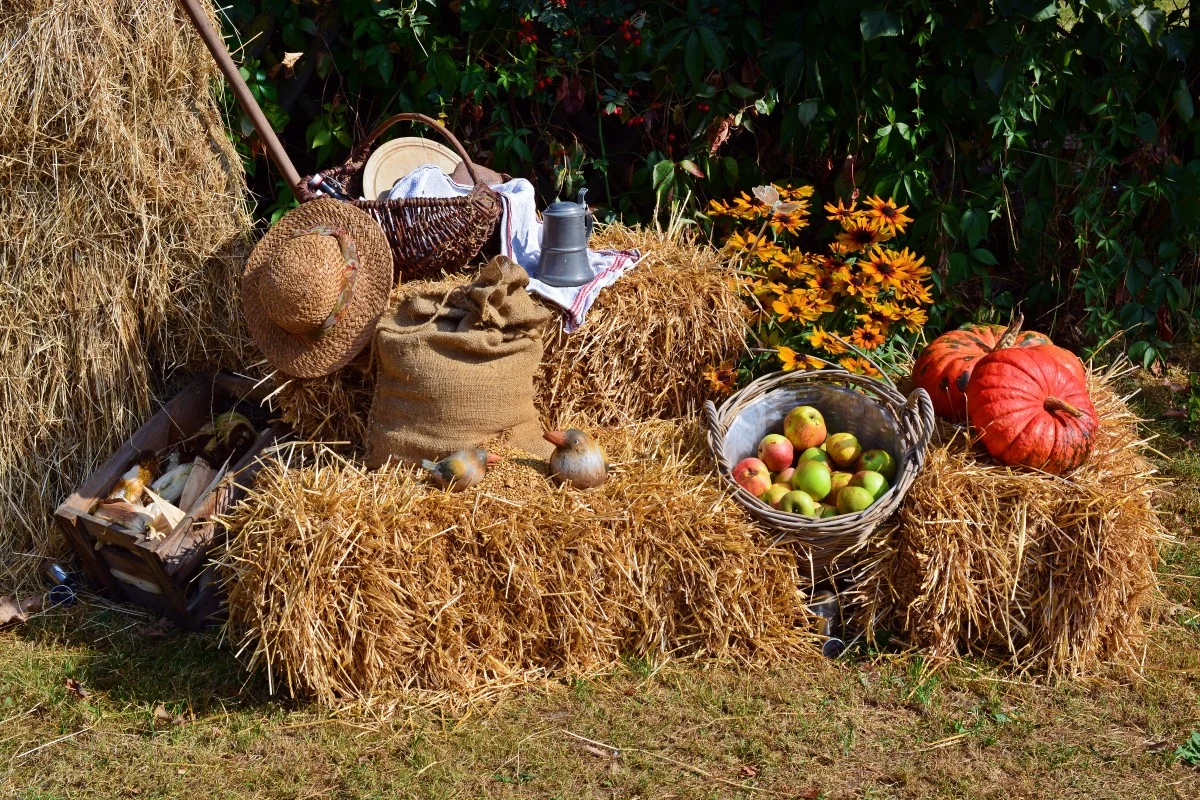 Harvest Moon 2026: Purnama Aries, Saturnus, dan Neptunus Hiasi Langit Dunia