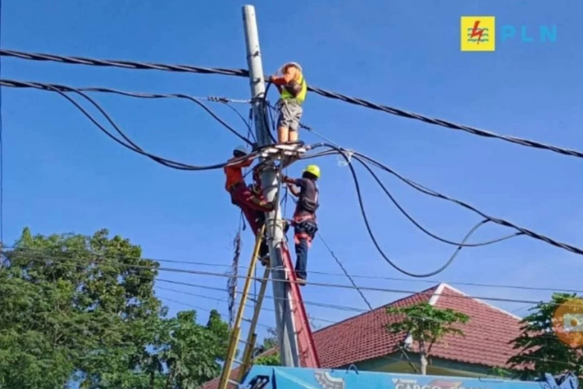 Ironi Listrik Sulsel: Mengapa Pemadaman Bergilir Masih Terjadi di Tengah Kelimpahan Pembangkit?