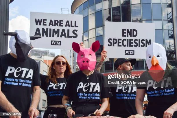 Peta Baru Mengubah Lanskap: Dari Kursi Dewan hingga Pusat Data, Siapa yang Diuntungkan?