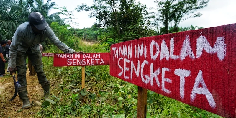 Putusan Inkracht Dijalankan Sukarela, PT PKIS Kembali Kuasai Lahan Sengketa di Kintap