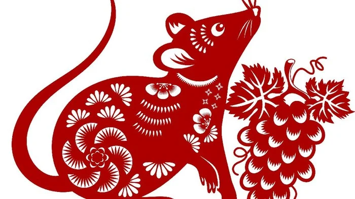 Ramalan Shio Tikus Awal September 2026: Peluang Karier Cemerlang dan Keberuntungan Finansial