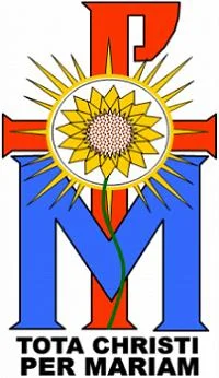 Tunisia vs Uganda: Drama Dua Cabang Olahraga yang Mengguncang Panggung Afrika
