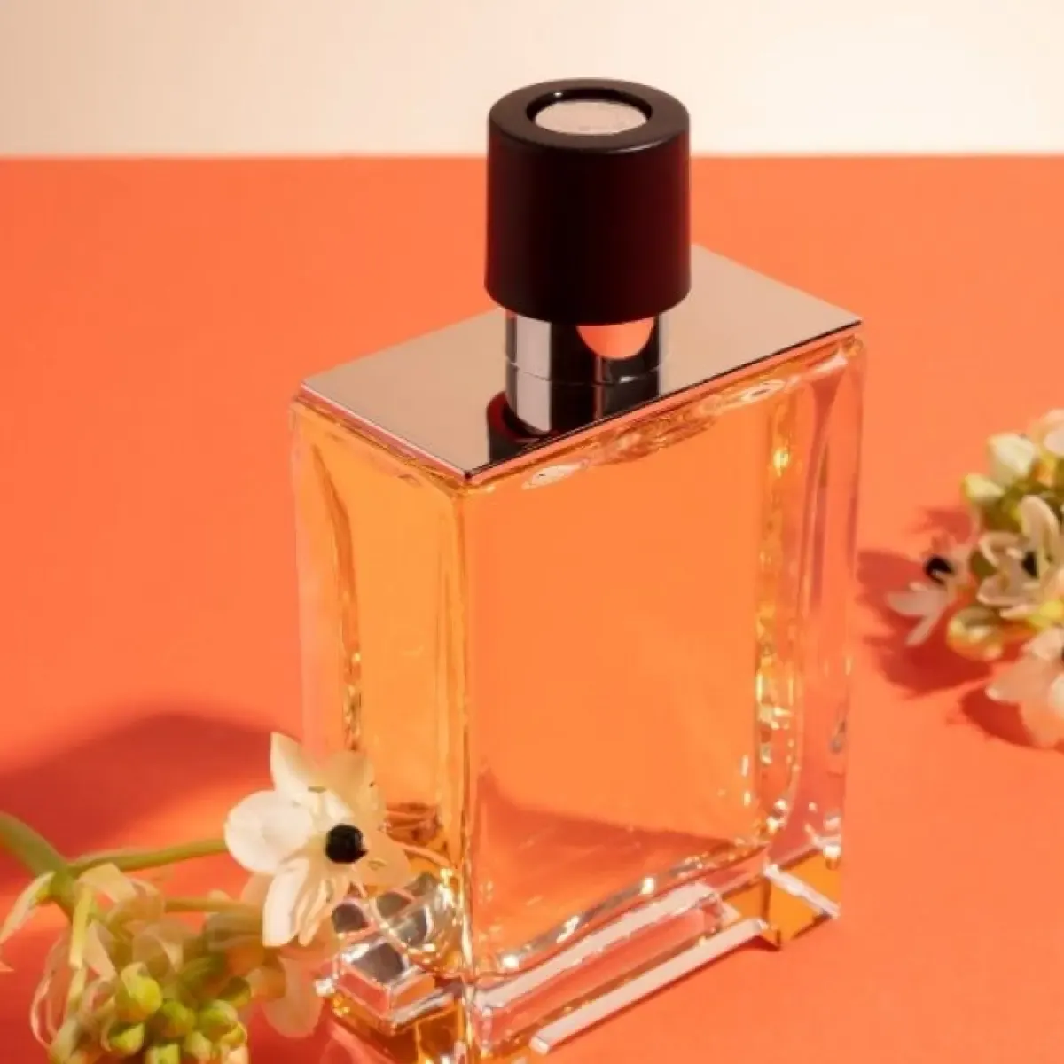 6 Rekomendasi Parfum Warm Spicy dan Amber untuk Musim Hujan