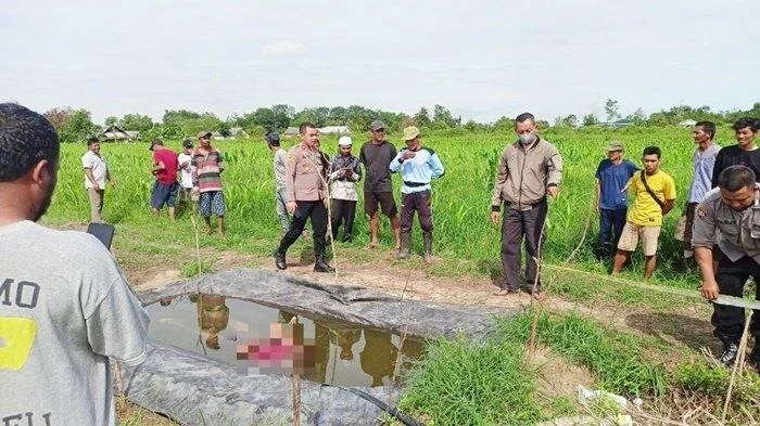 Akta Hibah Tanah RSUD Hadji Boejasin Tak Ditemukan, Pemkab Tala Absen dari Mediasi