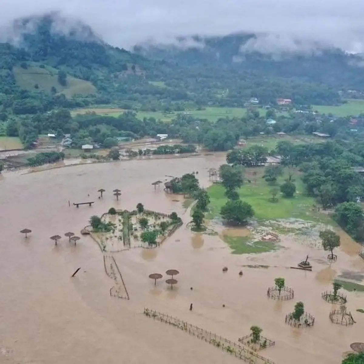Banjir Thailand Picu Kemunculan Satwa Liar dan Penumpukan Bagasi di Bandara Suvarnabhumi
