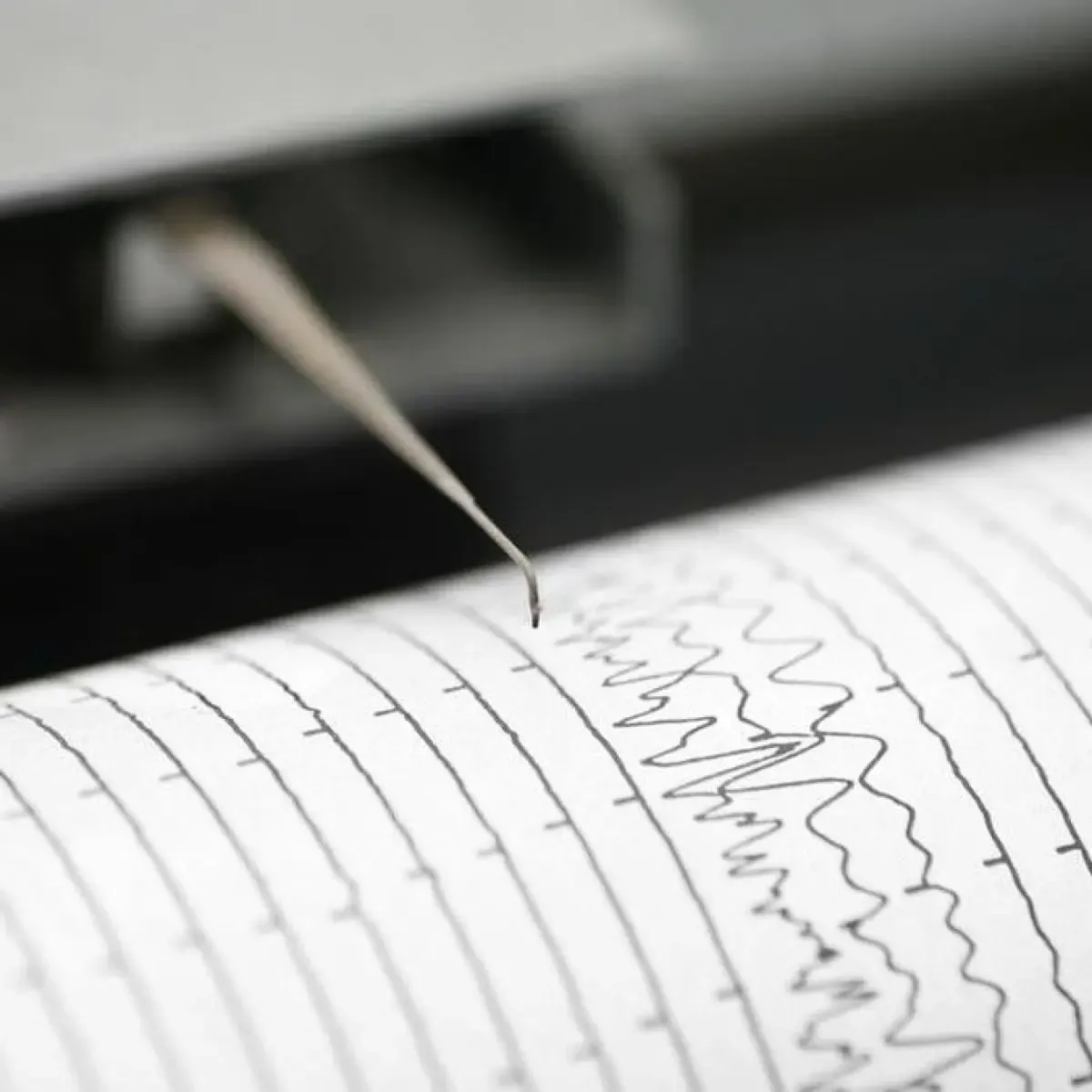 Gempa Magnitudo 6,1 Guncang Sumba Barat Daya, Kerusakan Meluas