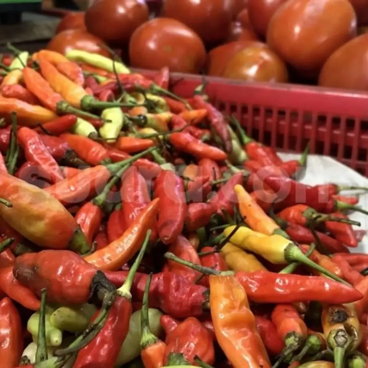 Harga Cabai Meroket Tembus Rp100 Ribu per Kilogram di Pasar Tradisional