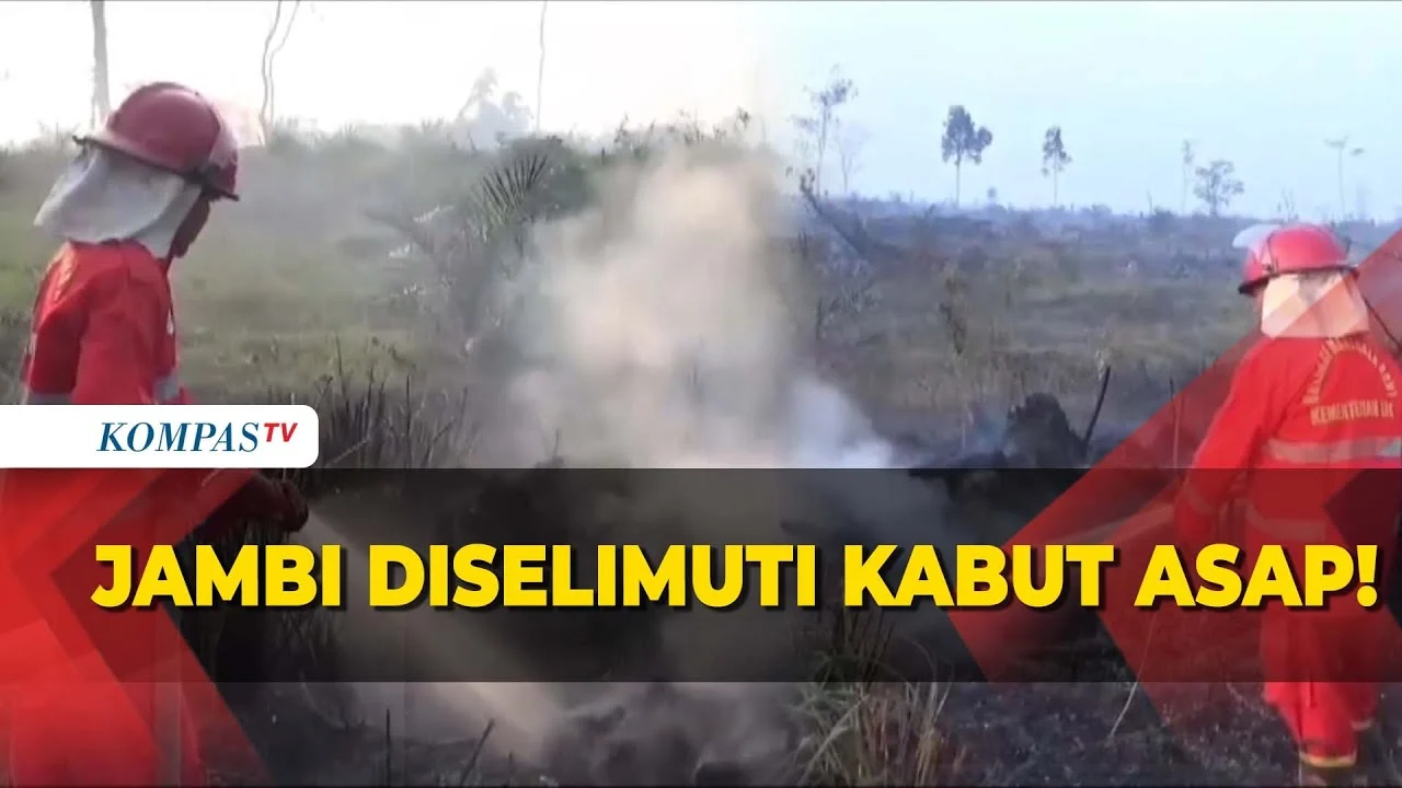 Jambi Dilanda Kabut Asap Karhutla: Hotspot Turun 67%, Ribuan Warga Terkena ISPA dan Penerbangan Terganggu