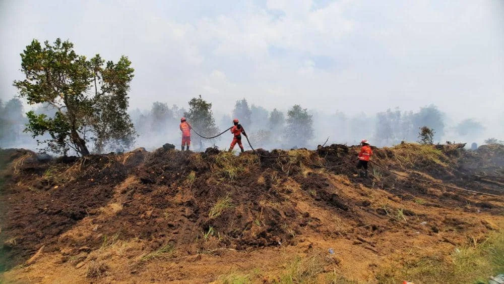 Karhutla Melanda Indonesia: Api di Cilacap Padam, Sumsel Berjibaku, Kalteng Bangun Sumur Bor