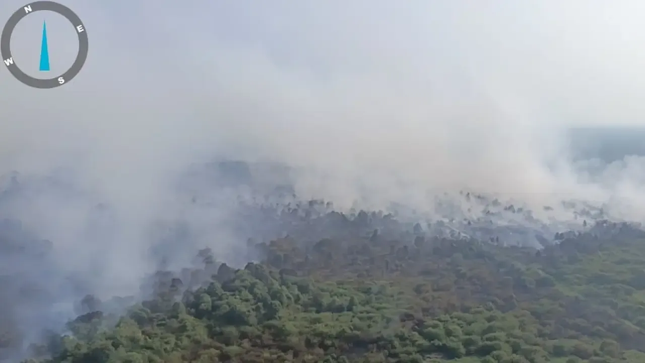 Kualitas Udara Jambi Hari Ini Memburuk: Kabut Asap Karhutla Selimuti Kota, Warga Diminta Waspada