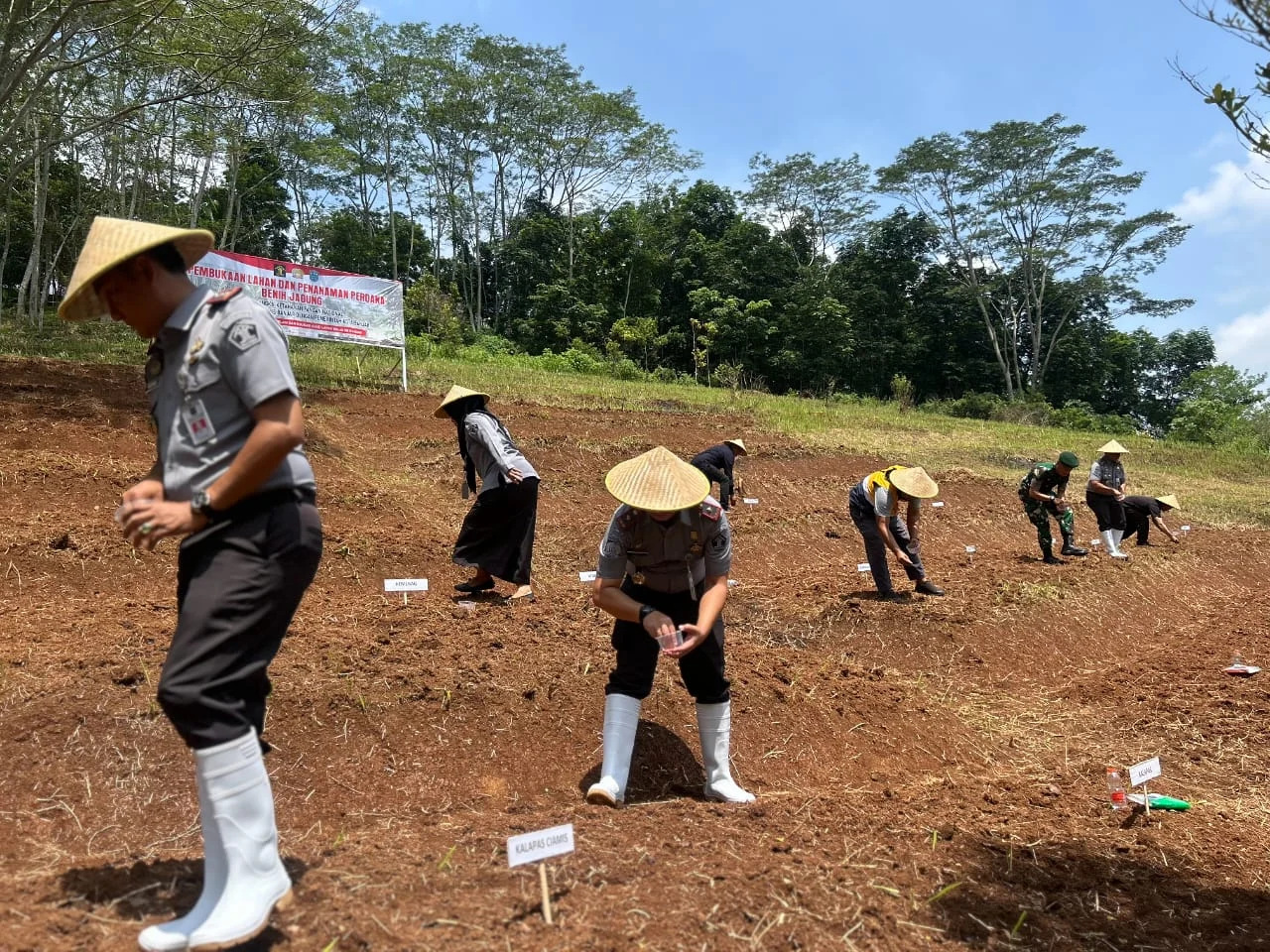 Lapas Banjarmasin Tanam 1.000 Benih Jagung, Bekali Warga Binaan Keterampilan Bertani