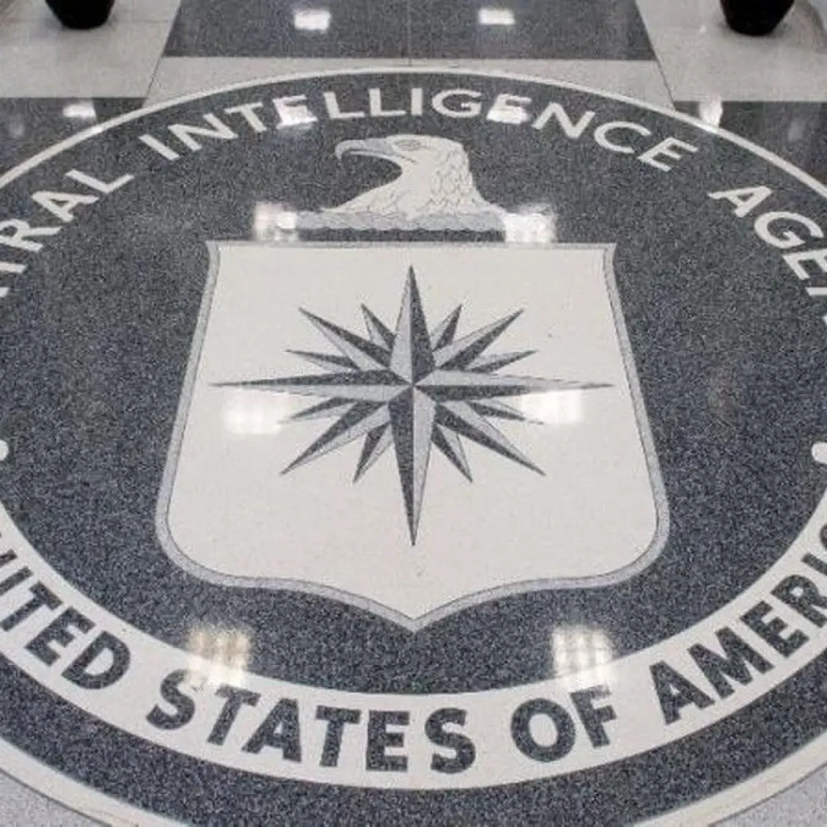 Laporan CIA Ungkap Risiko Keruntuhan Israel Menjelang Pemilu 27 Oktober
