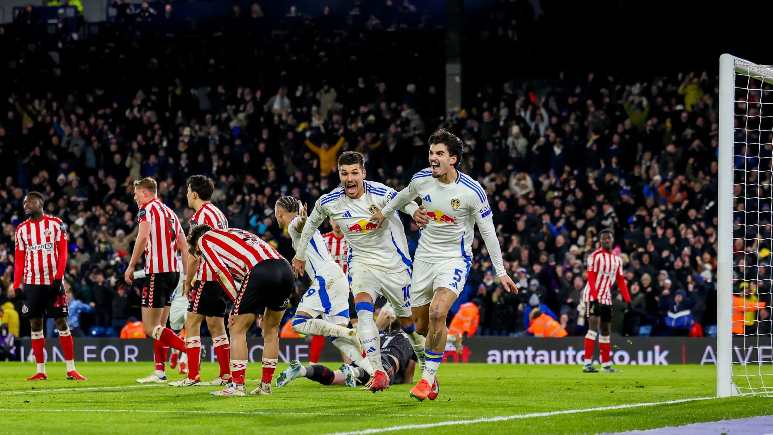 Pascal Struijk Kembali Fit, Brighton Hadapi Sunderland dengan Kekuatan Penuh