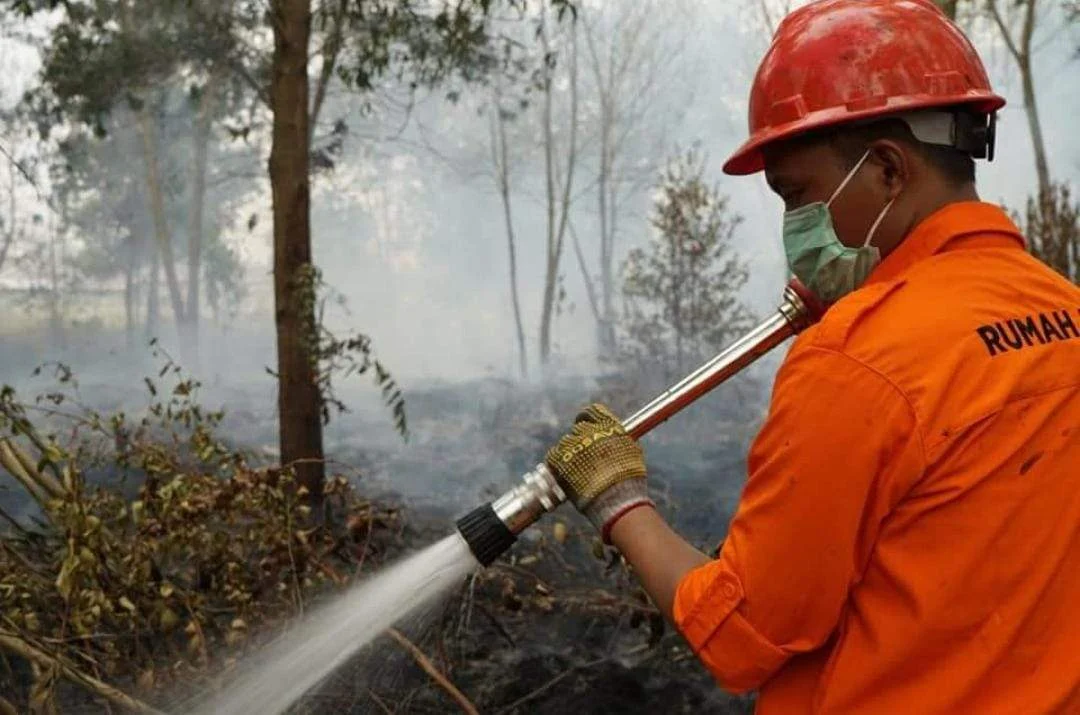 Setelah Malam Memerah, Kini Siang Diselimuti Asap, Karhutla Kembali Landa Handil Bakti